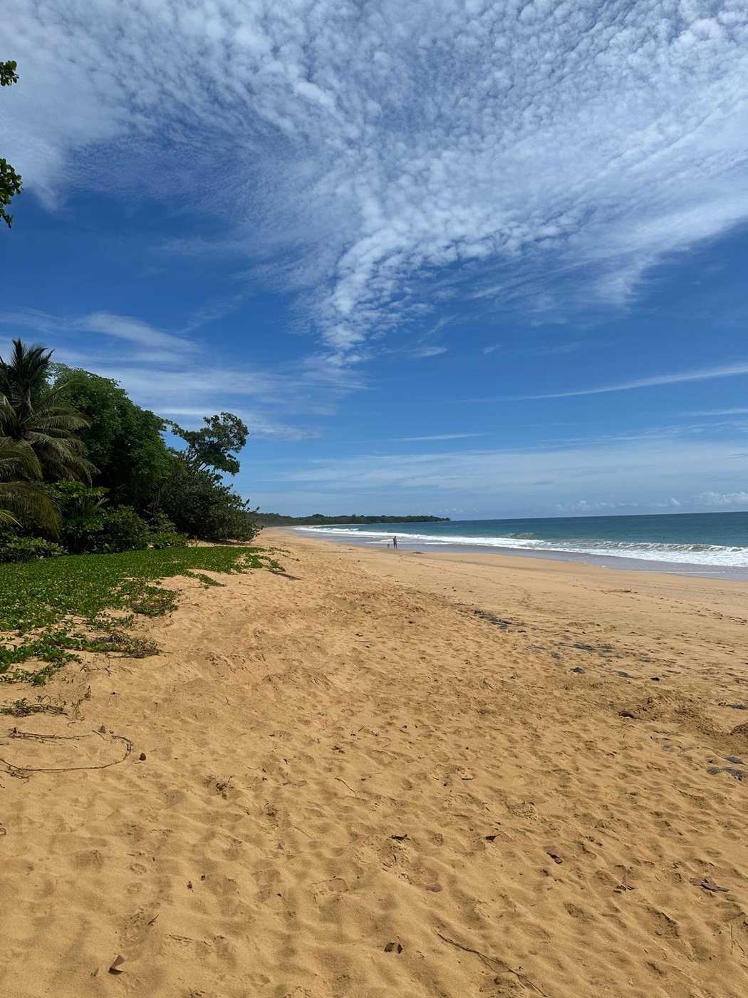 Playa Bluff, Bocas del Toro